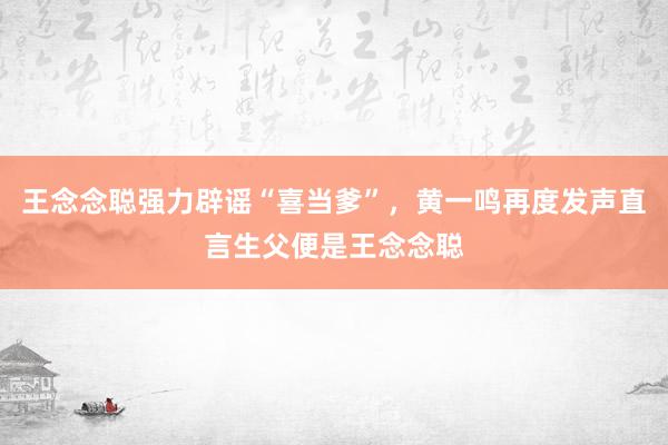 王念念聪强力辟谣“喜当爹”，黄一鸣再度发声直言生父便是王念念聪