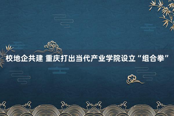 校地企共建 重庆打出当代产业学院设立“组合拳”