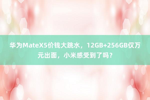 华为MateX5价钱大跳水，12GB+256GB仅万元出面，小米感受到了吗？