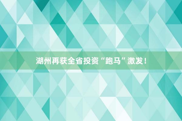 湖州再获全省投资“跑马”激发！