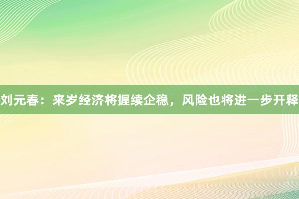 刘元春：来岁经济将握续企稳，风险也将进一步开释