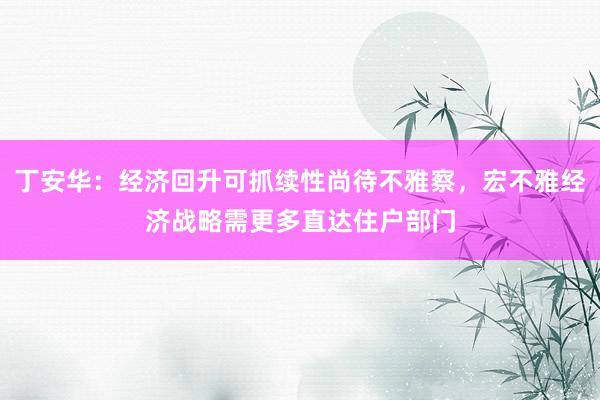 丁安华：经济回升可抓续性尚待不雅察，宏不雅经济战略需更多直达住户部门