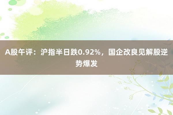 A股午评：沪指半日跌0.92%，国企改良见解股逆势爆发