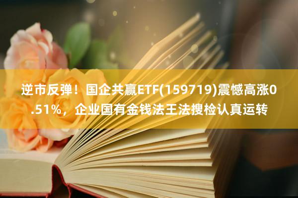 逆市反弹！国企共赢ETF(159719)震憾高涨0.51%，企业国有金钱法王法搜检认真运转