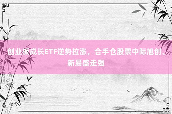 创业板成长ETF逆势拉涨，合手仓股票中际旭创、新易盛走强