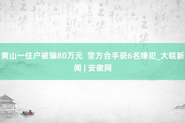 黄山一住户被骗80万元  警方合手获6名嫌犯_大皖新闻 | 安徽网